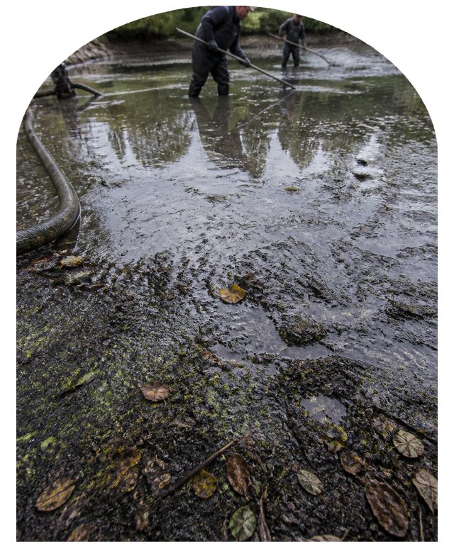 Очистка пруда в Кургане от ила мусора и водорослей с вывозом